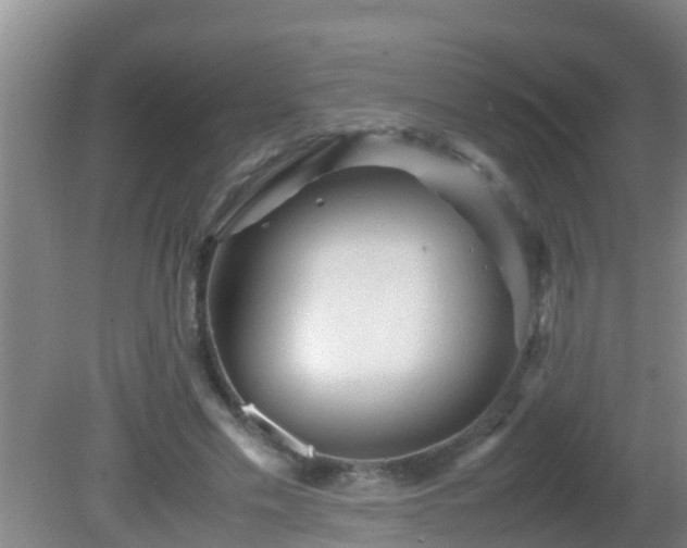 X0000081610589200701221204