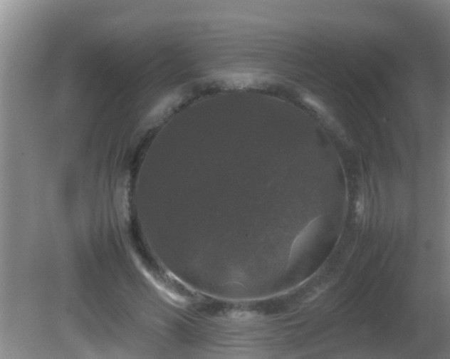 X0000081610590200701221204