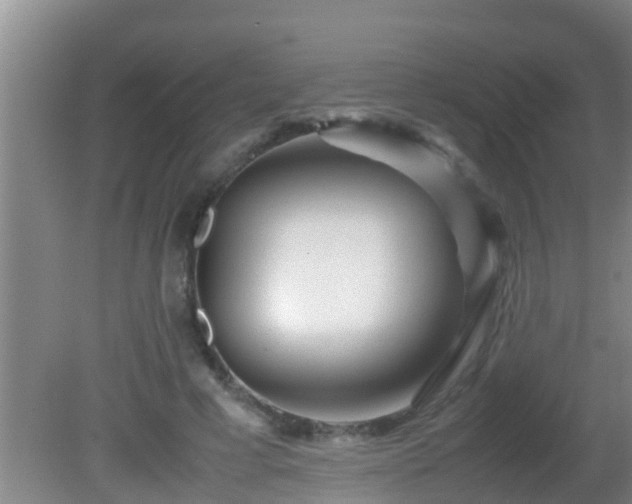 X0000081610593200701221204