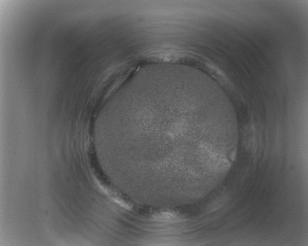 X0000081610594200701221204