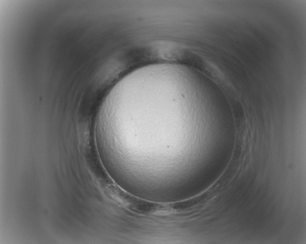 X0000081610595200701221204