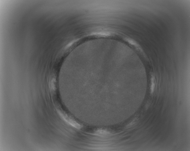 X0000081610596200701221204