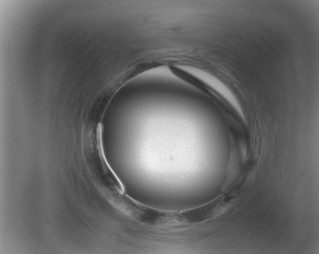 X0000081610597200701221204