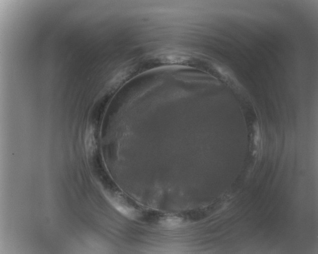 X0000081610598200701221204