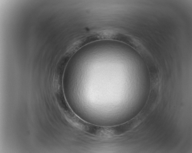 X0000081610599200701221204