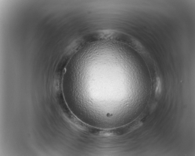 X0000081610602200701221204