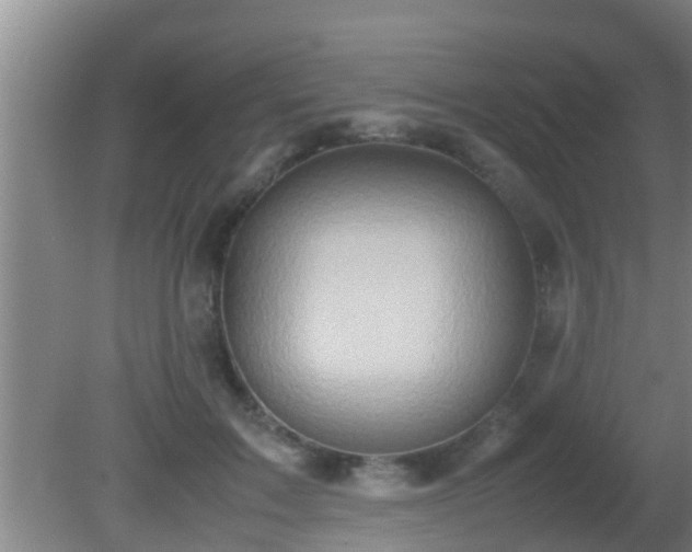 X0000081610603200701221204