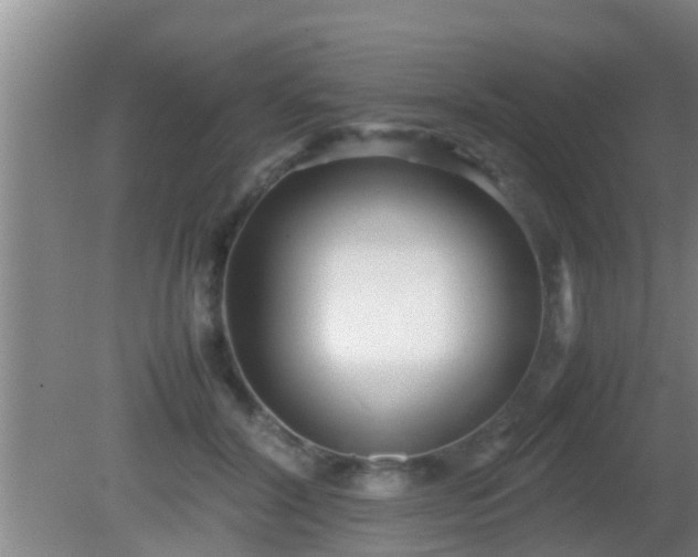 X0000081610604200701221204