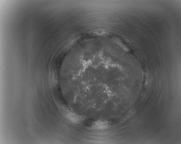 X0000081610606200701221204