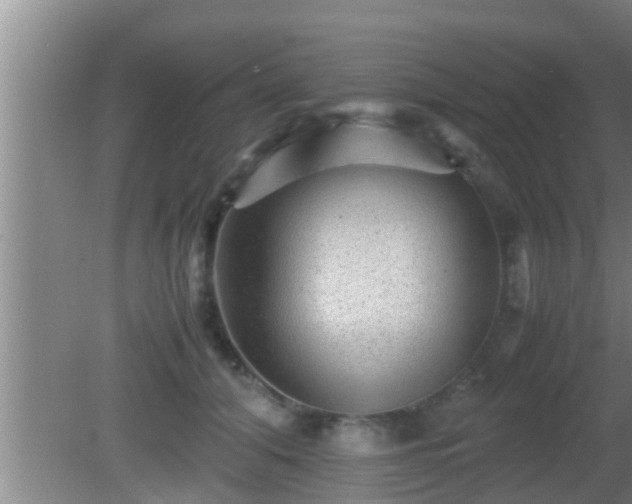 X0000081610608200701221204