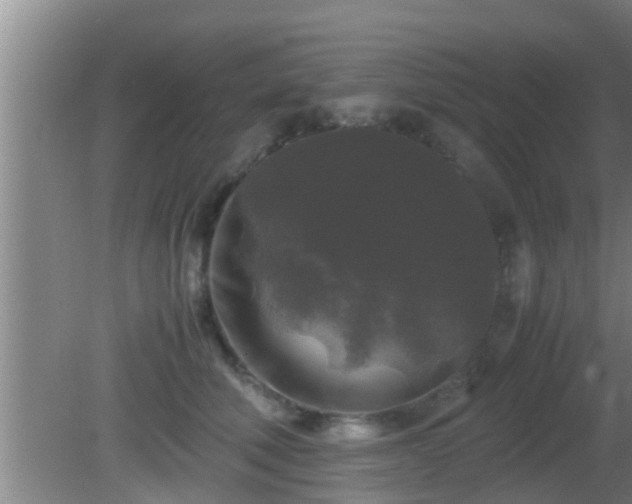 X0000081610610200701221204