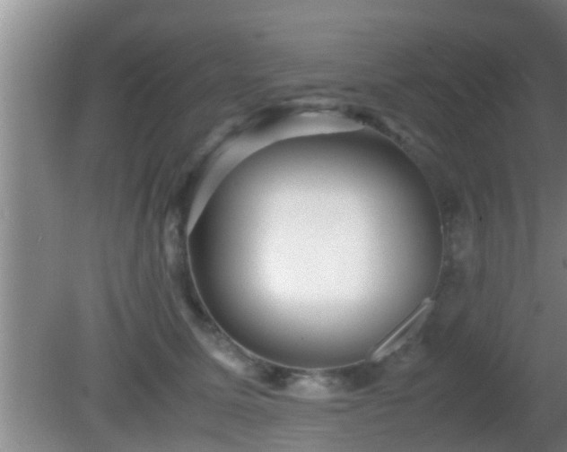 X0000081610611200701221204