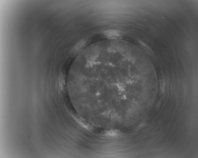 X0000081610618200701221204