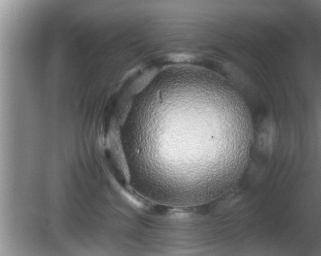 X0000081610620200701221204