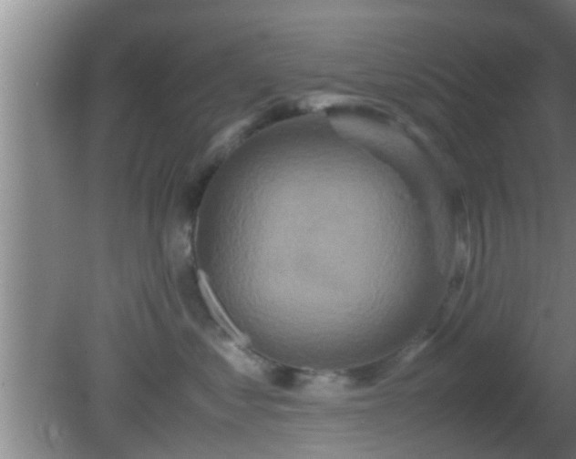 X0000081610621200701221204