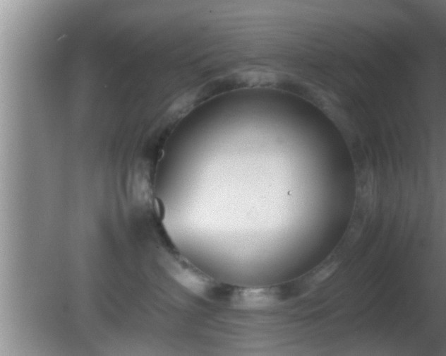 X0000081610622200701221204