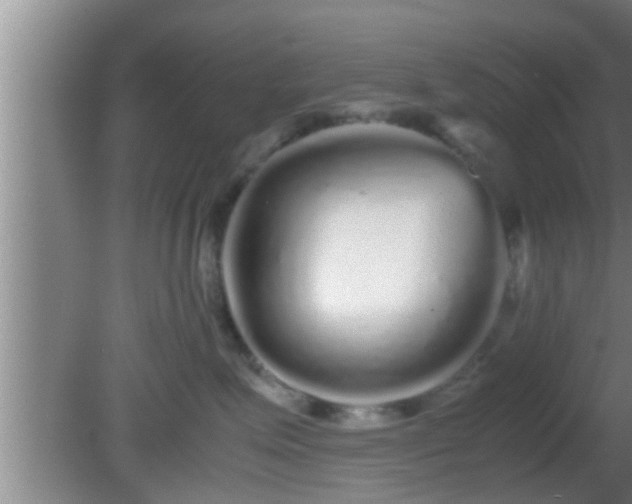 X0000081610623200701221204