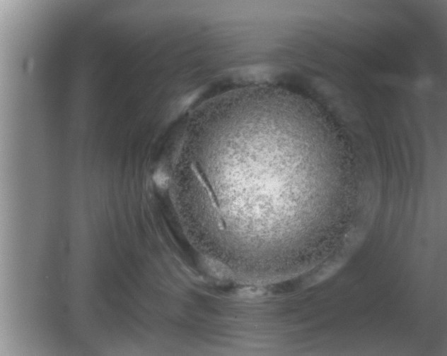 X0000081610624200701221204