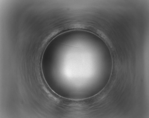 X0000081610625200701221203