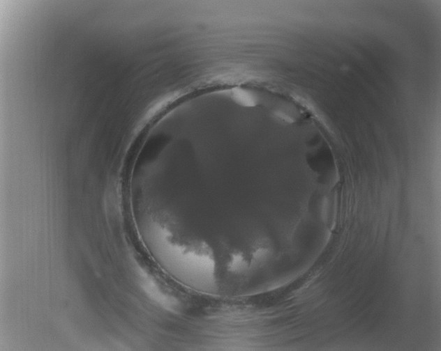 X0000081610626200701221203