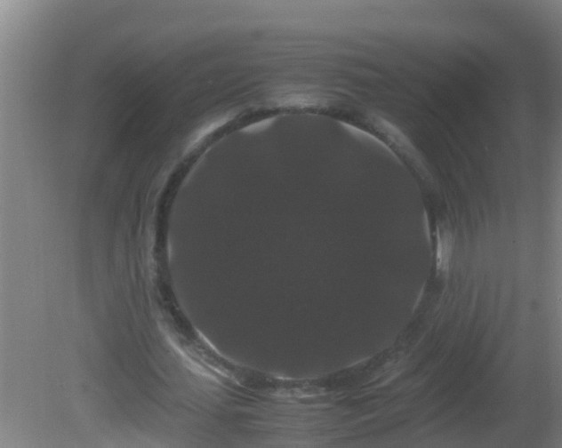 X0000081610627200701221203