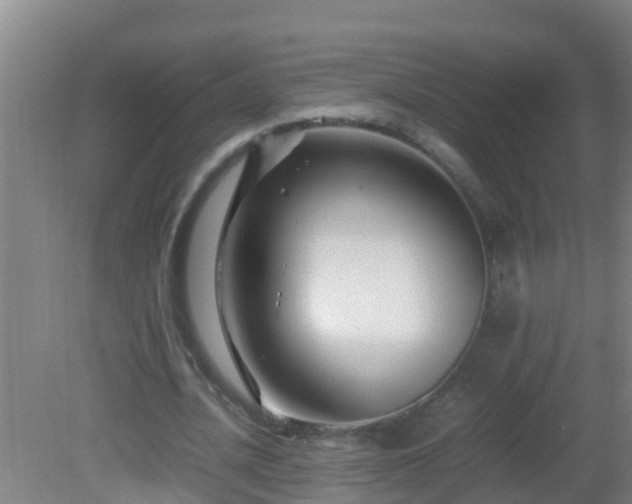 X0000081610628200701221203