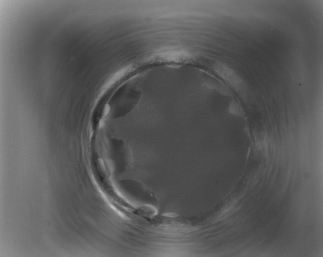 X0000081610630200701221203