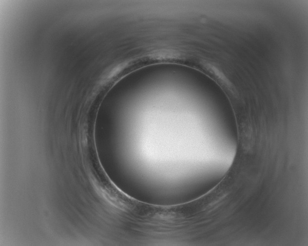 X0000081610631200701221203