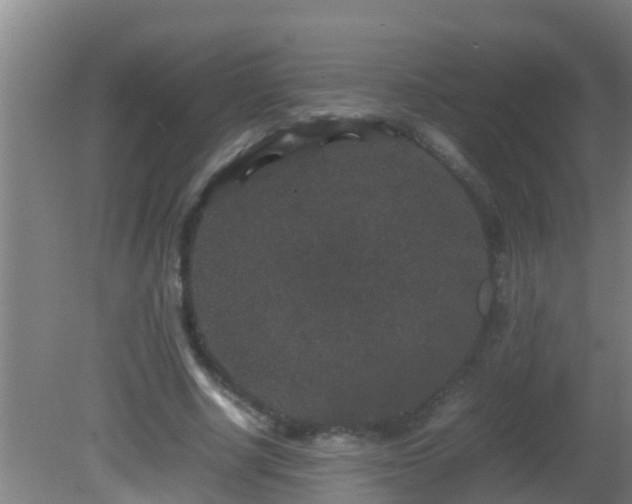 X0000081610634200701221203