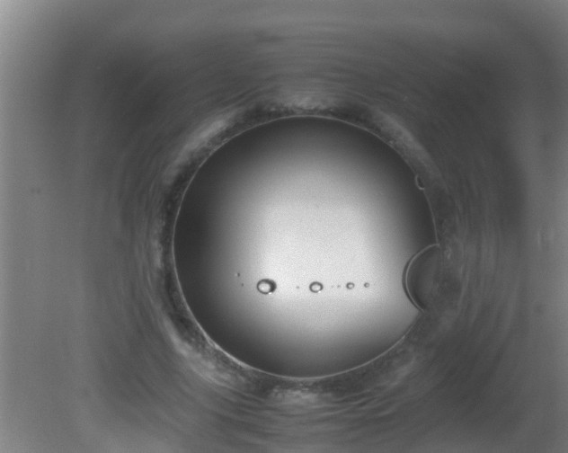 X0000081610635200701221203