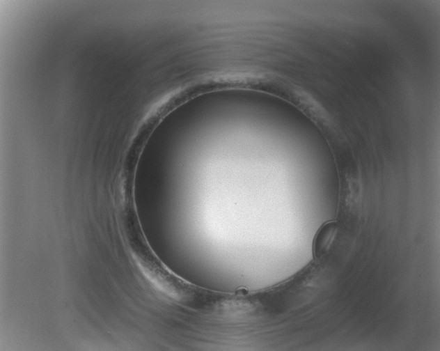 X0000081610636200701221203