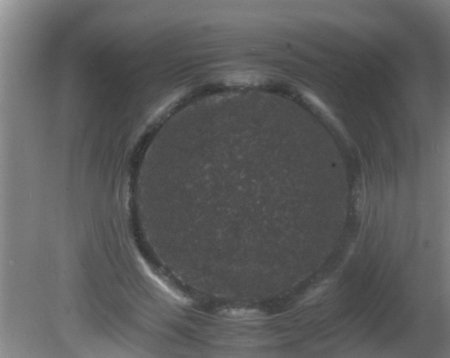 X0000081610637200701221203