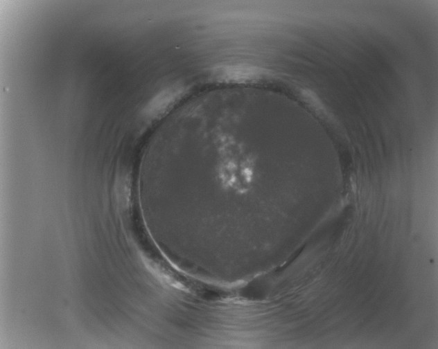 X0000081610640200701221203