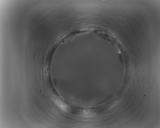 X0000081610641200701221203