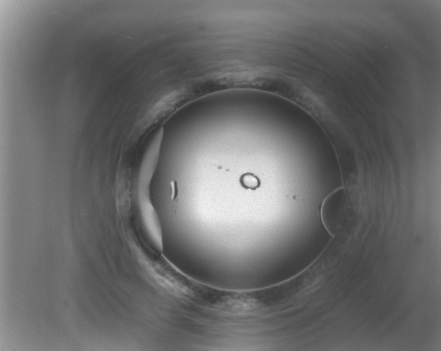 X0000081610642200701221203