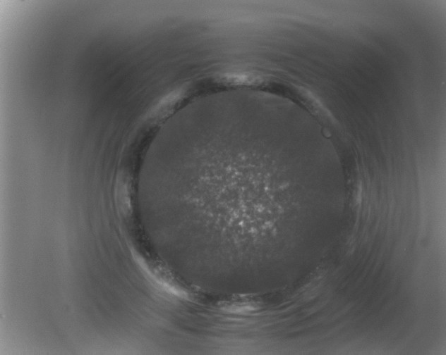 X0000081610643200701221203