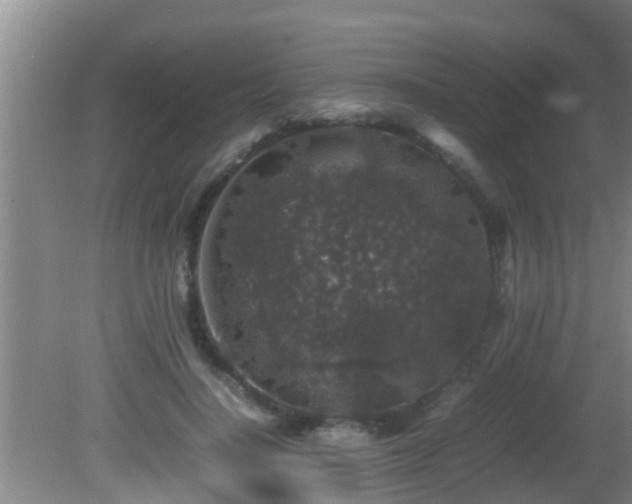 X0000081610644200701221203