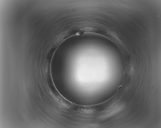 X0000081610645200701221203