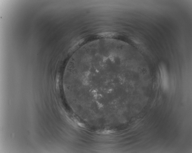 X0000081610647200701221203