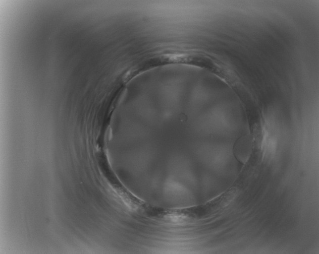 X0000081610650200701221203