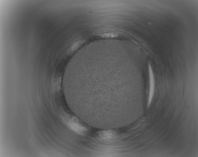 X0000081610652200701221203