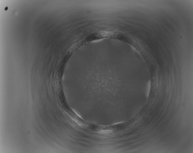 X0000081610653200701221203