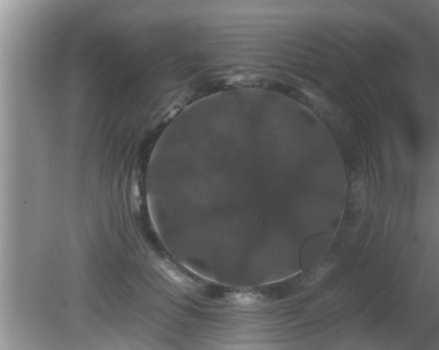 X0000081610654200701221203