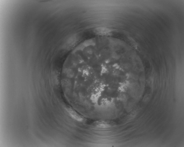 X0000081610658200701221203