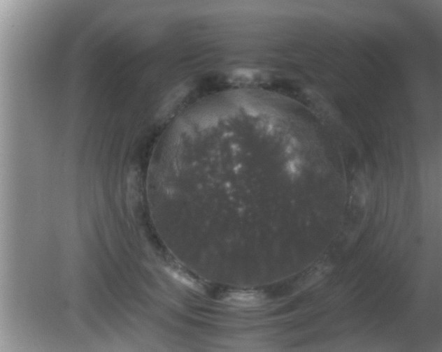 X0000081610659200701221203