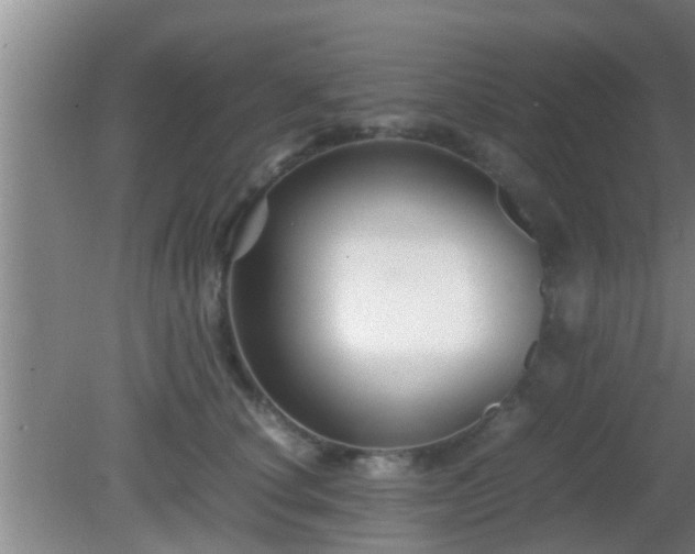 X0000081610660200701221203