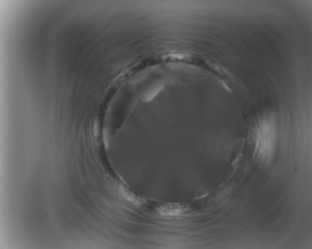 X0000081610661200701221203