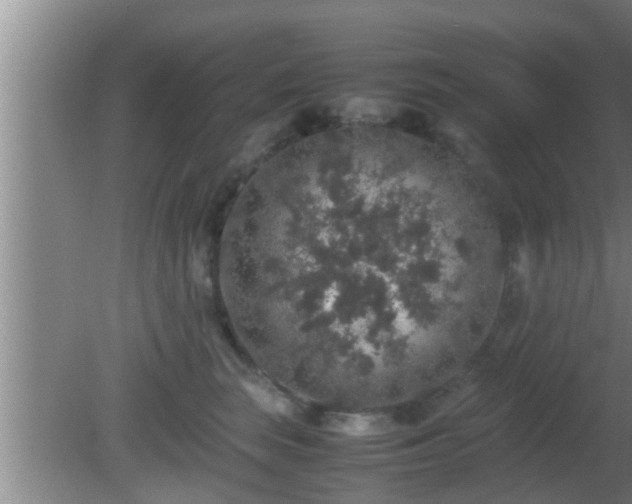 X0000081610663200701221203