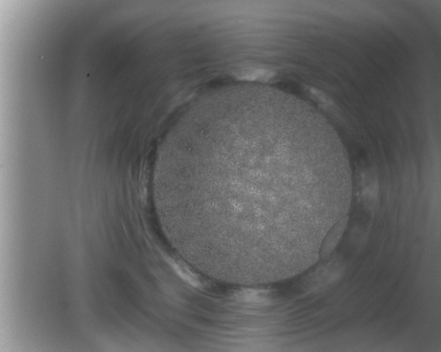 X0000081610664200701221203