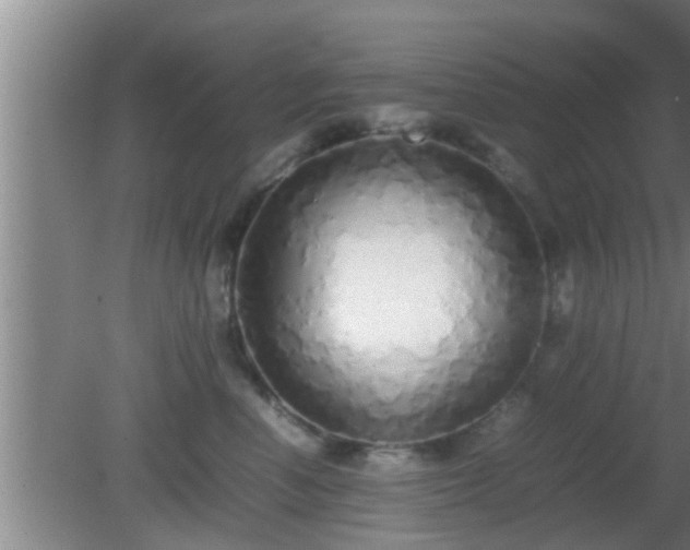 X0000081610666200701221203